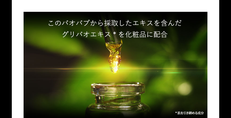 このバオバブから採取した加水分解バオバブエキスを日本で初めて化粧品に配合。
